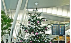 50 bonów zniżkowych na linie Wizz Air. Rusza konkurs