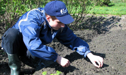  Zachęcą bezrobotnych do zakładania ogródków