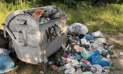 Do końca marca trzeba złożyć deklaracje śmieciowe