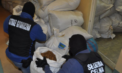 Przechwycili blisko 1,7 tony tytoniu