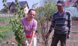 Resocjalizacja przez pracę 