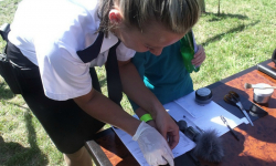  Pobieranie odcisków palców na policyjnym festynie 