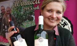 Dożynki i Święto Wina z lat ubiegłych