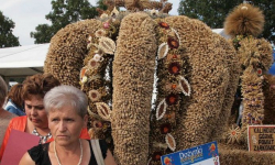 Wieniec z dożynek w Juszczynie na dożynkach prezydenckich w Spale