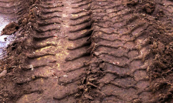 Kto przejechał mieszkańca Rakoszyc? Śledztwo trwa