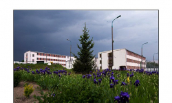 W Udaninie złapano więźnia, który uciekł z zakładu karnego