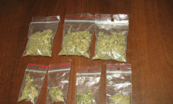 5 kilogramów trawy w garażu 