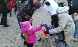 Wrocław zebrał niemal 700 tysięcy złotych!