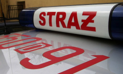 Uwaga na sarny przebiegające przez drogę krajową nr 94