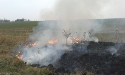 Średzcy strażacy: Nie wypalajcie traw!