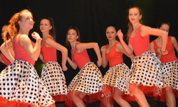 "Mam Talent" w wykonaniu uczniów ze Środy Śląskiej