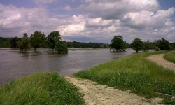 Komisje na wałach przeciwpowodziowych. Osłabione fragmenty czeka modernizacja