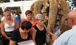 Wieńce dożynkowe wystawią do oceny na dziedzińcu muzeum