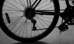 Złodziej złapany na gorącym uczynku