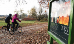 Na rowerach zwiedzą ciekawe miejsce i poznają historię Malczyc