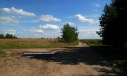 Przebudowa drogi polnej. Nawierzchnię pokryje betonowy asfalt