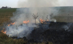 Radny Jerzy Fink: pożar zgłosiłem, ale straż nie przyjechała 