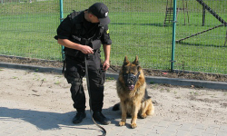 Funkcjonariusz i jego pies zajęli 3 miejsce na zawodach we Wrocławiu