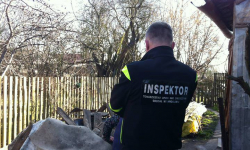 Psy trzymała w ciemnej szopie i obskurnej budzie