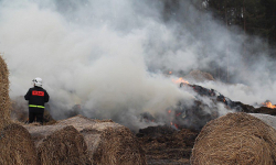 Potrącona sarna i pożar wielkiego stogu siana 