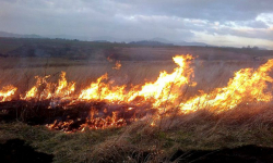 Dolny Śląsk na trzecim miejscu pod względem wypalania traw