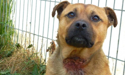 Kontrole TOZ w Malczycach i Rakoszycach