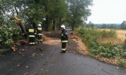 Dwa zerwane dachy oraz połamane drzewa i gałęzie