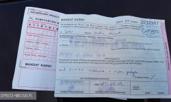 Dostali mandat za choinkę z butelek