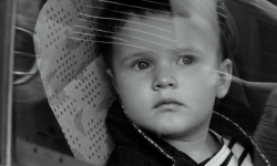 Chcesz 500 zł na dziecko? Nie daj się oszukać