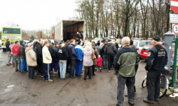 Darmowe marchew i jabłka