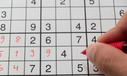 Gimnazjalista z Malczyc mistrzem Sudoku