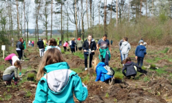 Święto Lasu w Mrozowie. Sadzili sosny i modrzewie