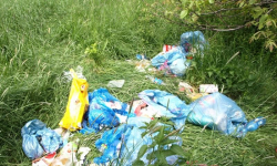 Sterta śmieci na terenie Środy Śląskiej