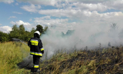 Pożar nieużytków w Zaborze Wielkim