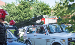 Drzewo uszkodziło auta stojące na parkingu