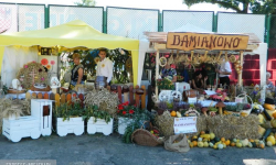 Różnorodne i kolorowe stoiska na dożynkach w Udaninie