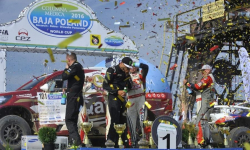 Columna Medica Baja Poland 2016