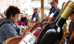 Święto Wina w Mieście Skarbów. Co będzie w tym roku?