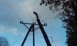 Pożar drzewa powalonego na linie energetyczne