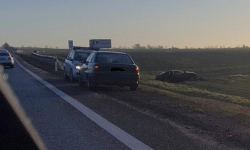 Jechał za szybko i wypadł z drogi. Poszkodowany został 35-latek