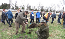 Zasadzili sto drzew z okazji pierwszego dnia wiosny