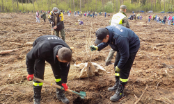 Obchody Święta Lasu w Miękini
