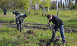 Wspólne sadzenie drzewek w Malczycach
