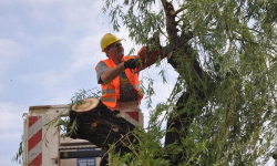 Zmiany w średzkim rynku