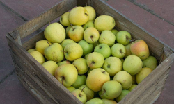 W ciągu wakacji miękiński GOPS nie będzie wydawał żywności