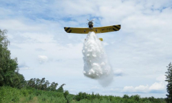 Płonął las na terenie Leśnictwa Mrozów. Interweniowało ponad 70 strażaków