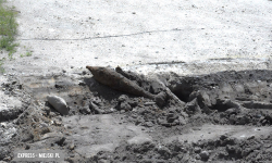 Mężczyzna znalazł pocisk moździerzowy. Wezwano saperów