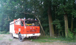 W lesie paliły się kable elektryczne