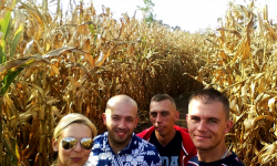 Turyści chętnie odwiedzają labirynt z kukurydzy 