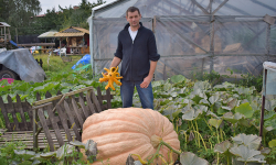 Wyhodował gigantyczną dynię. Waży około 350 kg